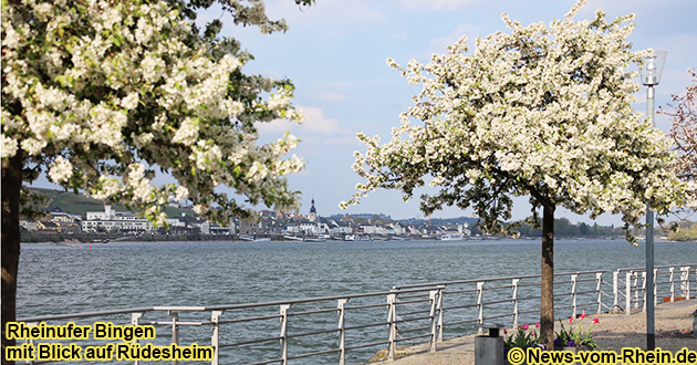 Rheinufer Bingen am Rhein