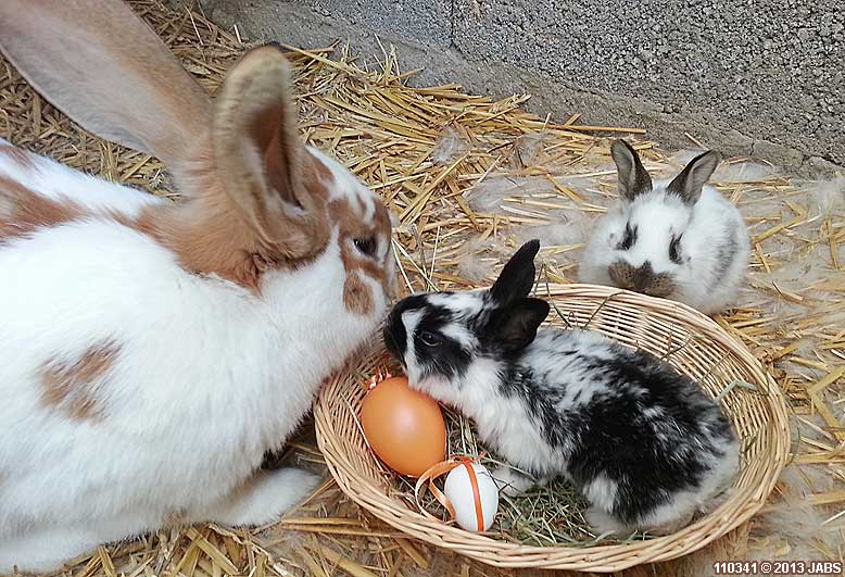 Ostern Ferien Kalender 2024 2025 Osterangebot